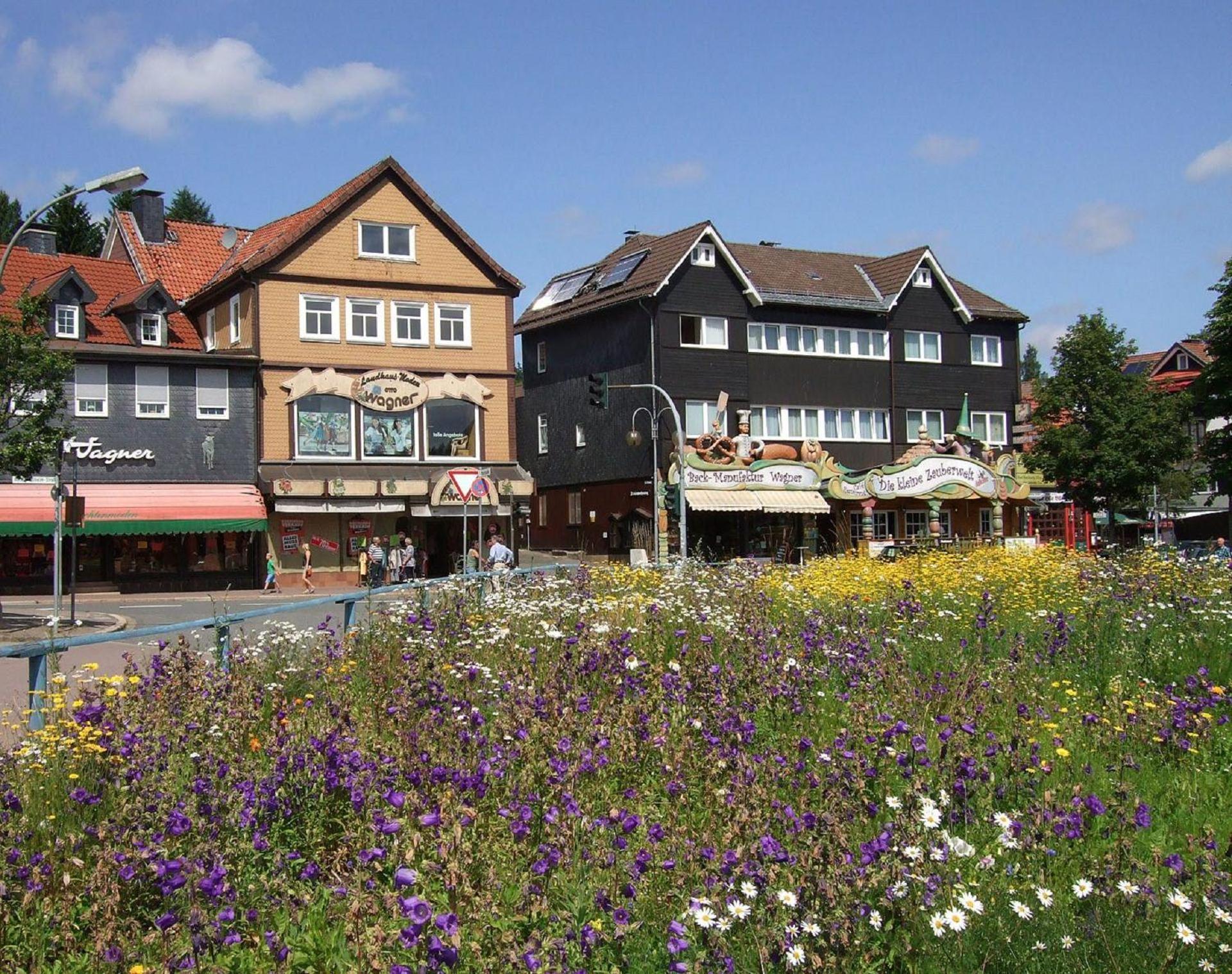 Ferienresidenz An Der Bode, Wohnung 1 Braunlage Extérieur photo